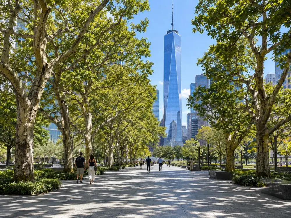 Une allée de chênes des marais sur la place avec le One World Trade Center s'élevant en arrière-plan